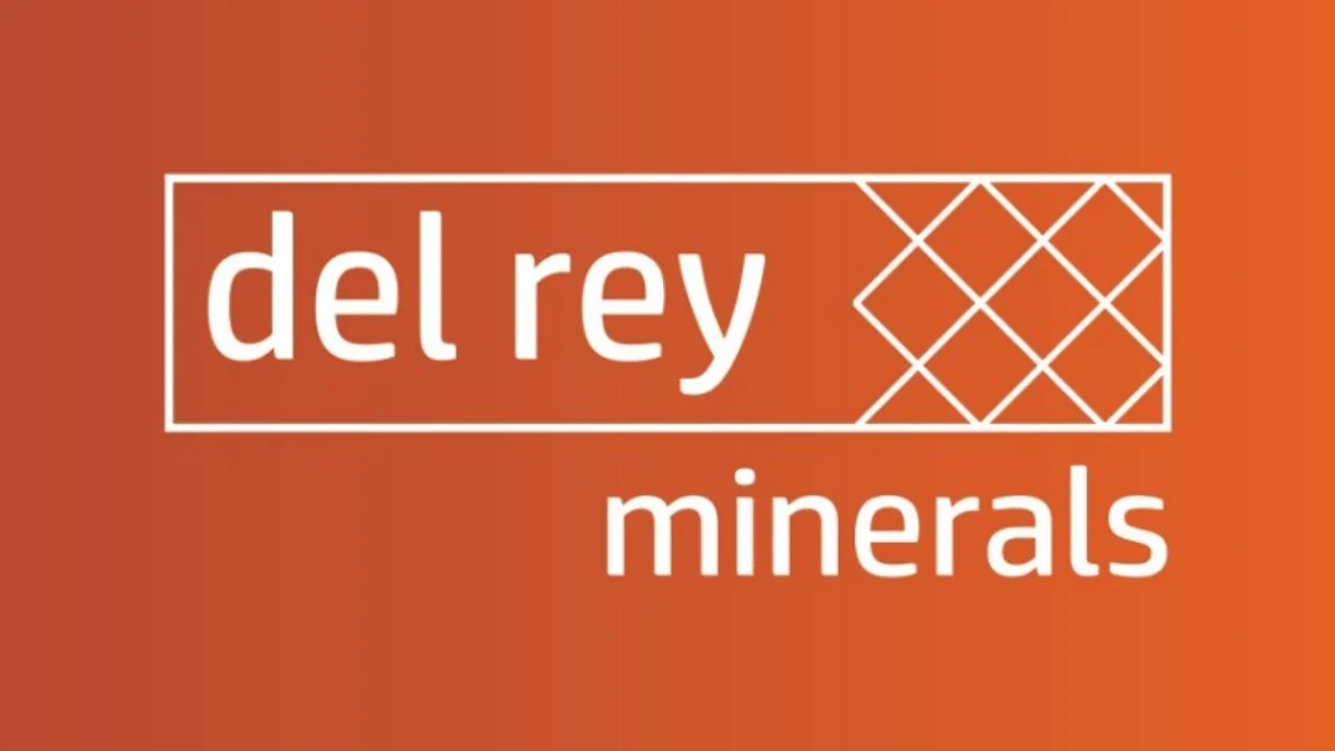 Case de sucesso Del Rey Minerals